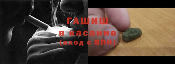 прущие грибы Верея