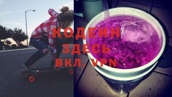 прущие грибы Верея