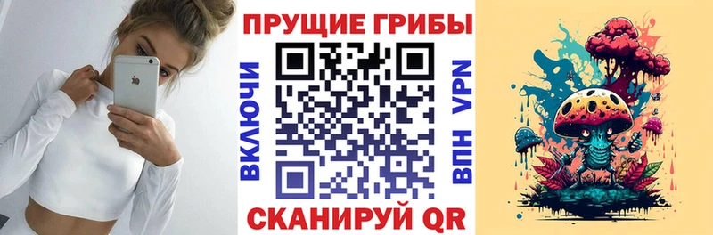 МЕГА ТОР  Старый Оскол  Псилоцибиновые грибы мухоморы 